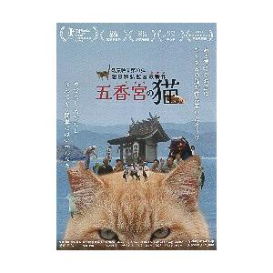 映画チラシ／ 五香宮の猫　ごごうぐうのねこ（想田和弘監督）