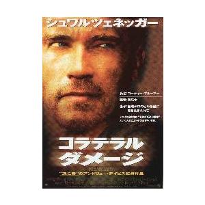 映画チラシ／ チャック・ベリー ブラウン・アイド・ハンサム・マン