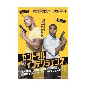 映画チラシ/セントラル・インテリジェンス (Dジ...の商品画像