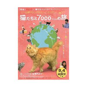 映画チラシ／ 猫たちと７０００マイルの旅　（マイ・ホン監督）