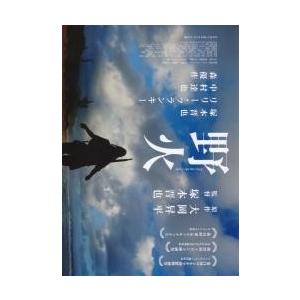 映画チラシ／野火　（塚本晋也監督）　Ｂ