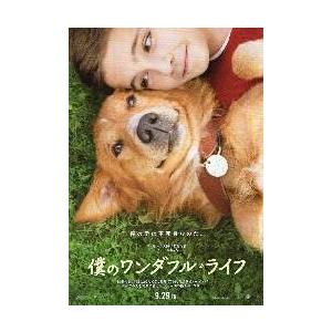 映画チラシ／僕のワンダフル・ライフ　（Ｌハルストレム監督）