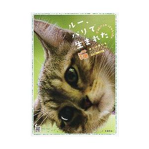 映画チラシ／ ルー、パリで生まれた猫　　A　猫アップ/両面