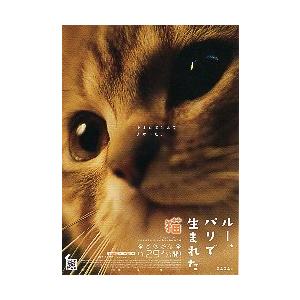 映画チラシ/ ルー、パリで生まれた猫 A 猫ア...の詳細画像1
