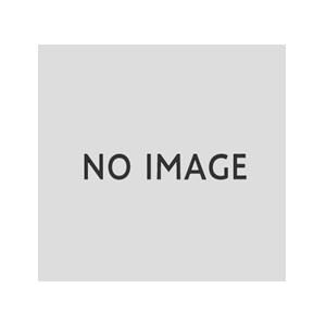 映画チラシ／私の奴隷になりなさい ディレクターズ・カット　（壇蜜）