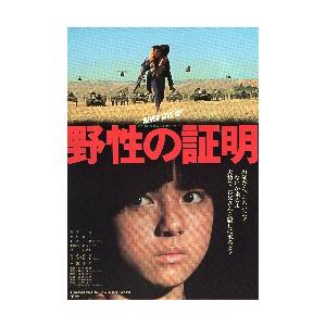 池田:ご要望の映画チラシ113枚セット Amazon.co.jp: 邦画映画チラシ[恋する彼女、西へ。 池内博之