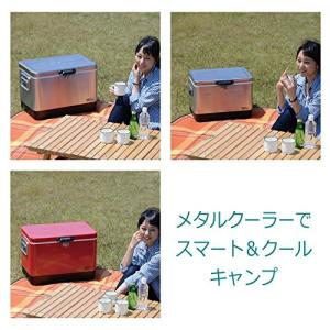 信頼 のテントファクトリー クーラーボックス メタルクーラー ステンレス ボックス 51l メタルハンドル ドレンプラグ 一番上質人気物 の