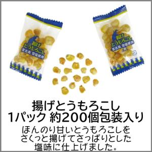 揚げとうもろこし 750g 業務用メガサイズ ...の詳細画像2