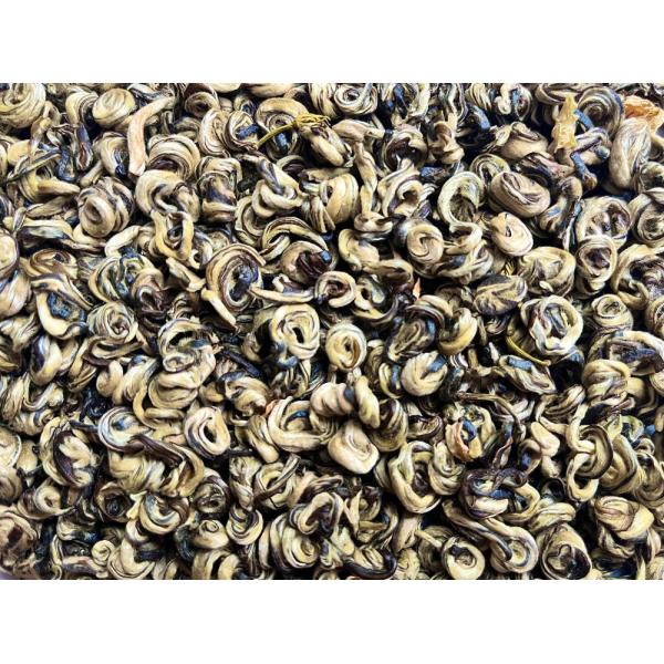 ジャスミン茶 / 茉莉玉螺王 25g　-　中国茶専門店 茶茶　ジャスミンティー