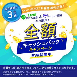 タイプc変換アダプター Lightning t...の詳細画像1