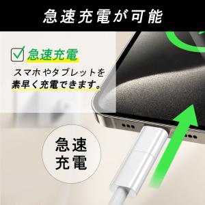 タイプc変換アダプター Lightning t...の詳細画像4
