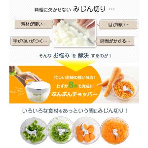 ふたも洗える ぶんぶんチョッパー 12種のレシ...の詳細画像2