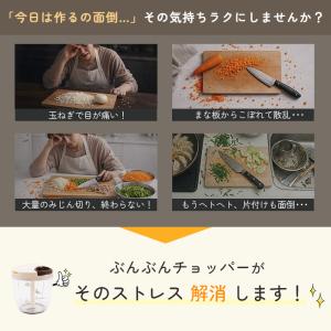 ぶんぶんチョッパー スーパー5 食洗機対応 み...の詳細画像2