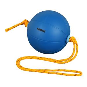 メディシンボール 3kg スウィングメディシンボール スポーツ用品 NISHI(ニシ・スポーツ) T5913｜chaco-2