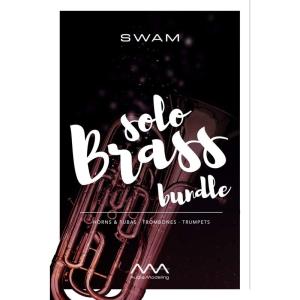 楽器・音響機器 国内正規品Audio Modeling SWAM Solo Brass bundle ダウンロード版 (簡易パッケージ)｜chaco-2