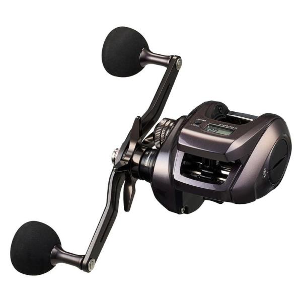 ダイワ(DAIWA) カウンター付きベイトリール 24紅牙 IC 200