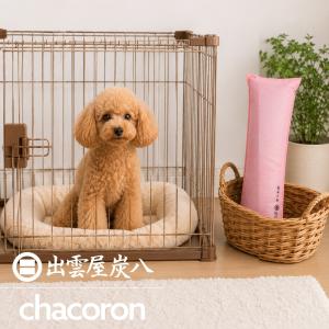 炭八 押入用1個 ピンク 押入 除湿 調湿木炭...の詳細画像4