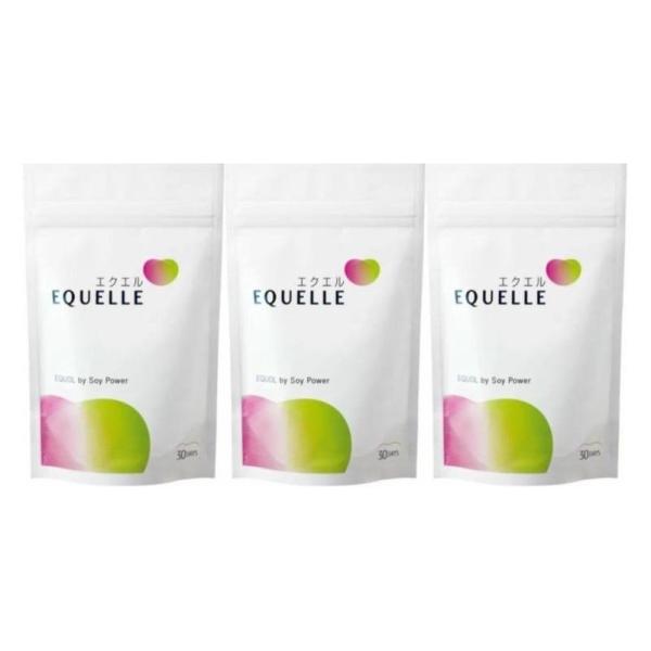 エクエル パウチ １２０粒×３袋セット 大塚製薬 ポスト投函