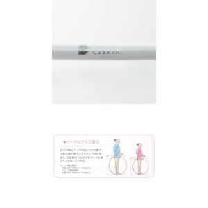 【チャコット 公式(chacott)】フープ(丸型)の詳細画像1