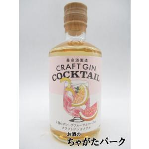 養命酒 クラフト ジン 2種のグレープフルーツとハーブのクラフトジンカクテル 22度 300ml｜chagatapark