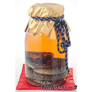 【夫婦ハブ入り】 南都酒造 琉球の酒 夫婦ハブ入りハブ酒 35度 1400ml ■注意事項を必読後、ご理解の上でお買い求め下さい。｜chagatapark