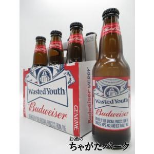 バドワイザー Budweiser  瓶 330ml×6本セット (原産国 韓国)｜chagatapark