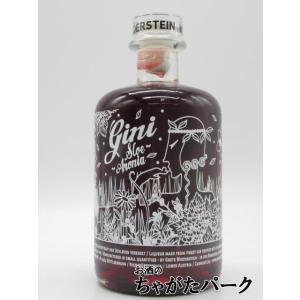 ヴィーターシュタイン ジーニー スロー ジン リキュール 20度 500ml｜chagatapark