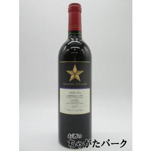 アオ・ユン [2019] 赤ワイン フルボディ 750ml / 中国 雲南省 デチェン