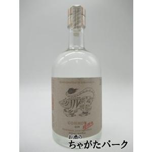ベリーシュカ ジンエン ベリー ジン 正規品 40度 700ml : お酒のちゃが