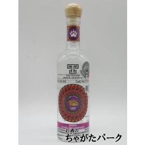 テキレディ アネホ シューズ ハイヒール トラ柄 テキーラ 38度 375ml
