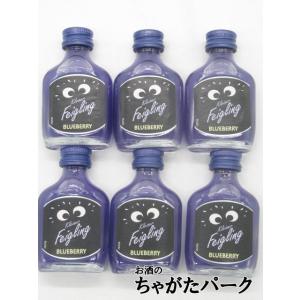 クライナーファイグリング ブルーベリー ミニチュア 15度 20ml×6本セット｜chagatapark