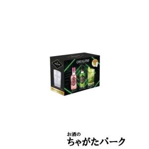 コカレロ ヴィーダ VIDA 700ml 22度 リキュール : サカツ