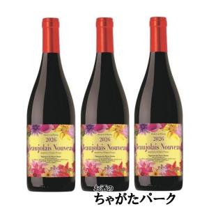 ボジョレー ヌーボー 1/12より出荷！【船便】【12本セット】 カーヴ