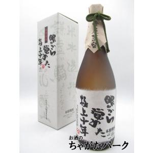 【焼酎祭り1980円均一】 大石酒造 眠りから覚めた 極上十年 十年貯蔵 米焼酎 25度 720ml