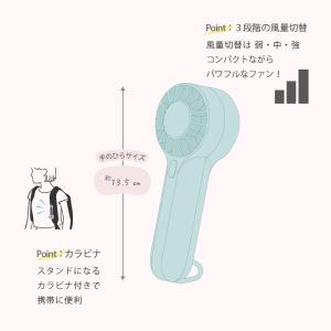 エレス iFanPico アイファンピコ 20...の詳細画像4