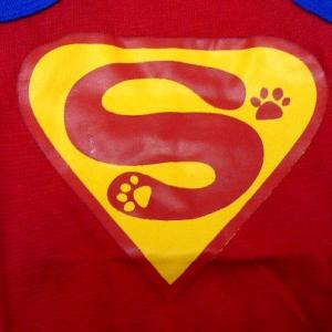 (犬服 ネコポス便)タンクトップ スパーワン3...の詳細画像2