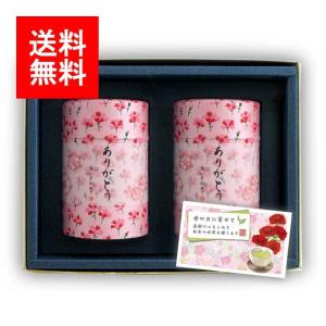 2024年新茶 母の日 新茶ギフト#246 カーネーション缶 セット 特上知覧茶×2 50g×2｜ 煎茶 茶葉 内祝 法事 贈り物 お茶 緑茶 日本茶