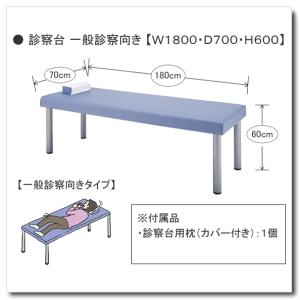 コクヨ 診察台 一般診察向きタイプ　W1800 D700 H600　HP-D4SVZ｜chairkingdom