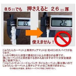 【ドイツ製】カーペット用 180×120cm ...の詳細画像3