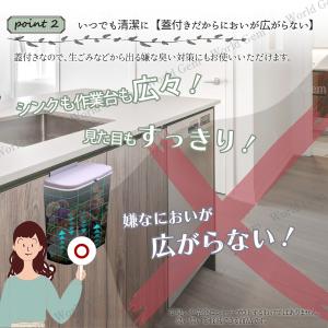 壁掛けゴミ箱 壁掛けごみ箱 蓋付き ふた付き ...の詳細画像5