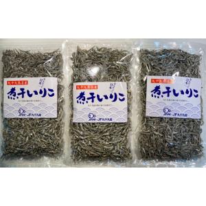 お買得長崎県産 煮干　キビナ　100g×3パック
