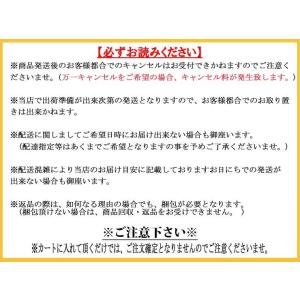 樹脂製後子供乗せ 自転車用チャイルドシート 後...の詳細画像1