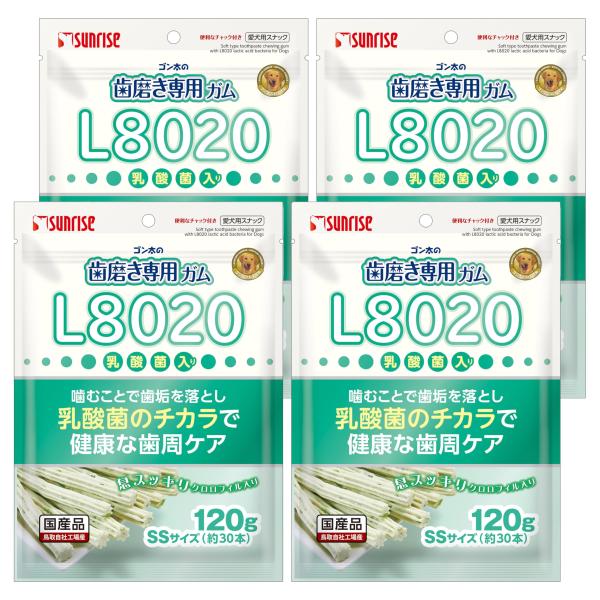 ゴン太の歯磨き専用ガムSSサイズ L8020乳酸菌入り クロロフィル入り 120g 4個セット
