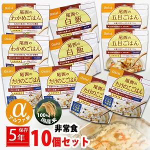 非常食 防災食 備蓄食料 保存食 10食分 災害用食料 5年保存 防災ごはん 詰替 備蓄用 防災グッズ 避難用品