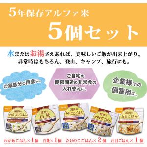 非常食 防災食 備蓄食料 保存食 5食分 災害...の詳細画像1
