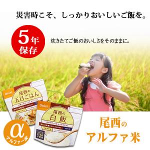 非常食 防災食 備蓄食料 保存食 5食分 災害...の詳細画像2