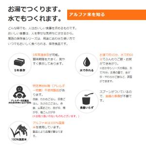 非常食 防災食 備蓄食料 保存食 5食分 災害...の詳細画像3