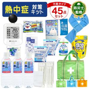 熱中症対策キット cr-331 リーベン 万能45点セット 10個 クーラーバッグ 応急処置 瞬間冷却剤 水分補給 ゼリー 塩分 冷却タオル 経口補水液 予防カード 工事現場