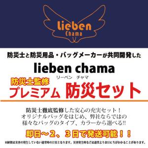 非常食 防災食 保存食 3日分 27点 災害用...の詳細画像1