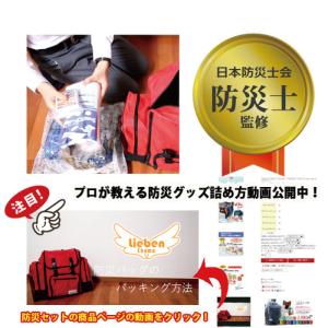 非常食 防災食 保存食 3日分 27点 災害用...の詳細画像2